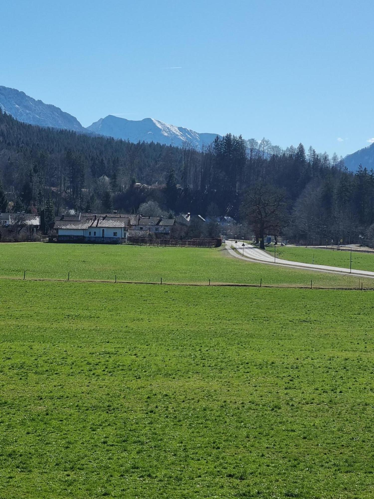 Ferienwohnungen Am Alpenrand Siegsdorf Eksteriør bilde