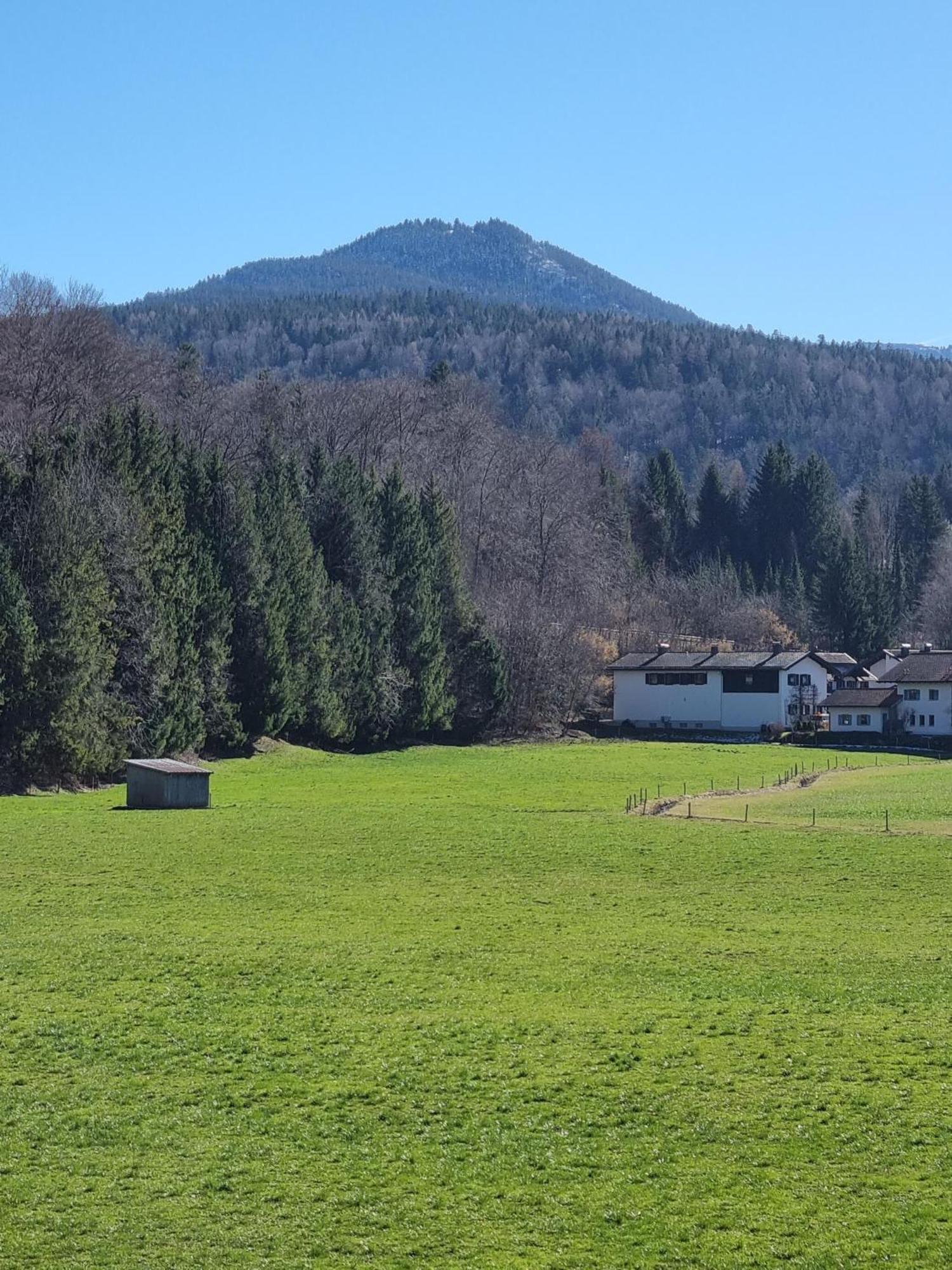 Ferienwohnungen Am Alpenrand Siegsdorf Eksteriør bilde